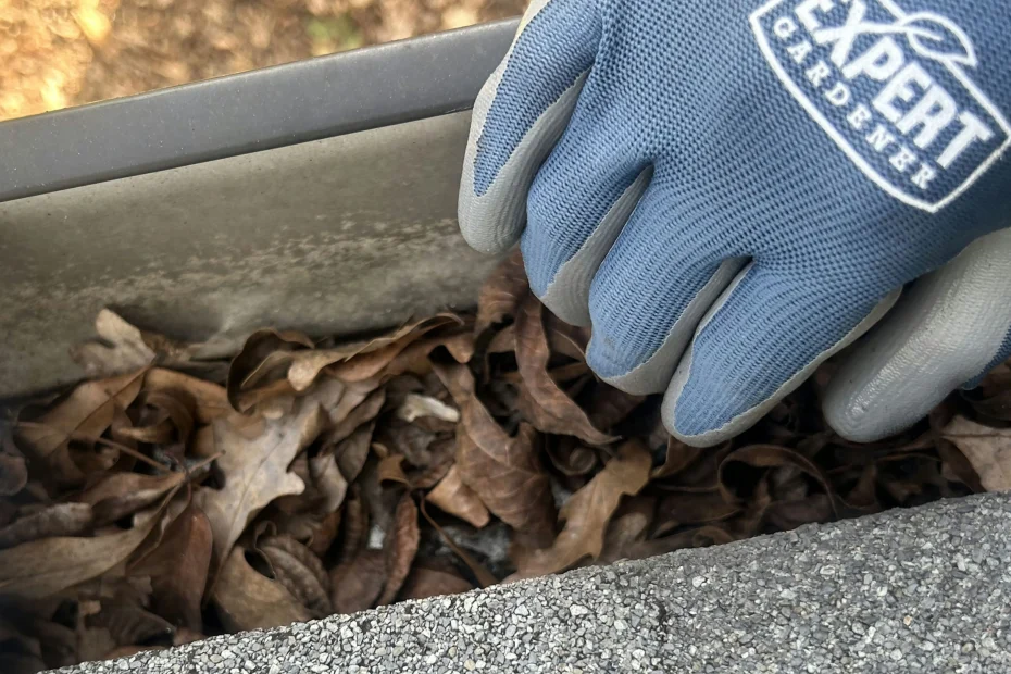 Gutter Cleaning South Norfolk