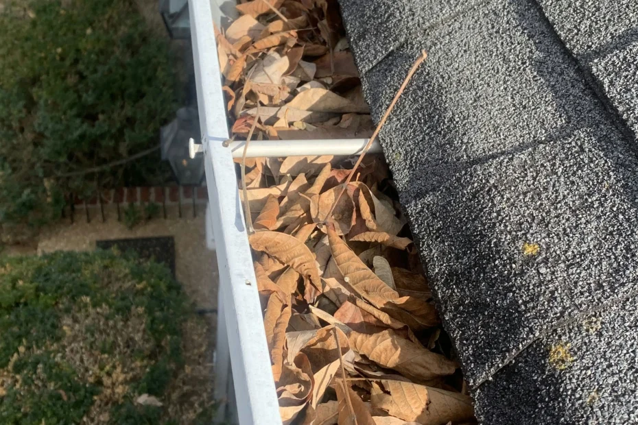 Gutter Cleaning South Norfolk