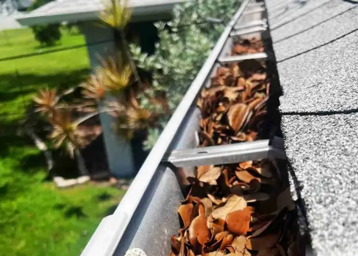 Gutter Cleaning South Norfolk home page